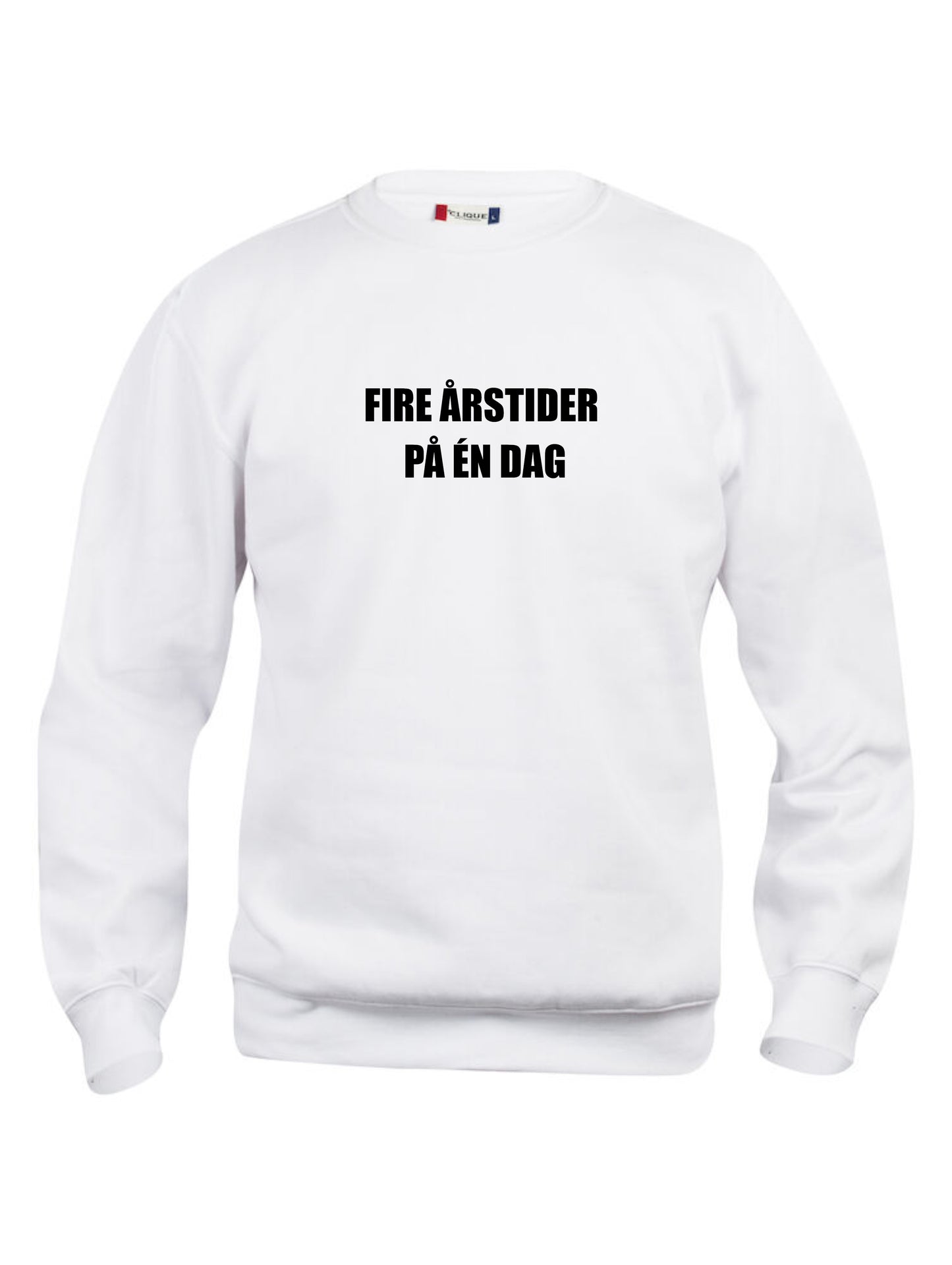 FIRE ÅRSTIDER PÅ ÉN DAG - GENSER